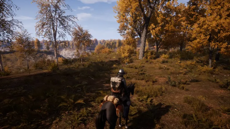 Beyaz Kuyruklu Kartal