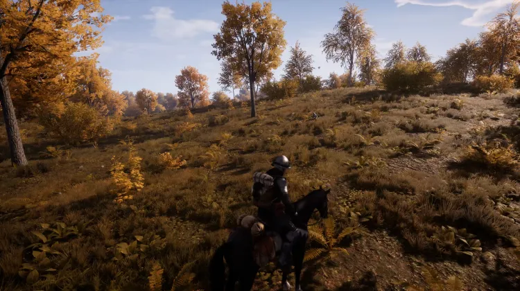 Beyaz Kuyruklu Kartal