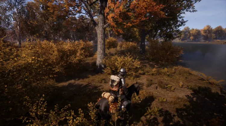 Beyaz Kuyruklu Kartal