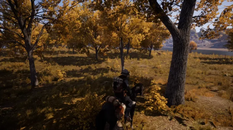 Beyaz Kuyruklu Kartal