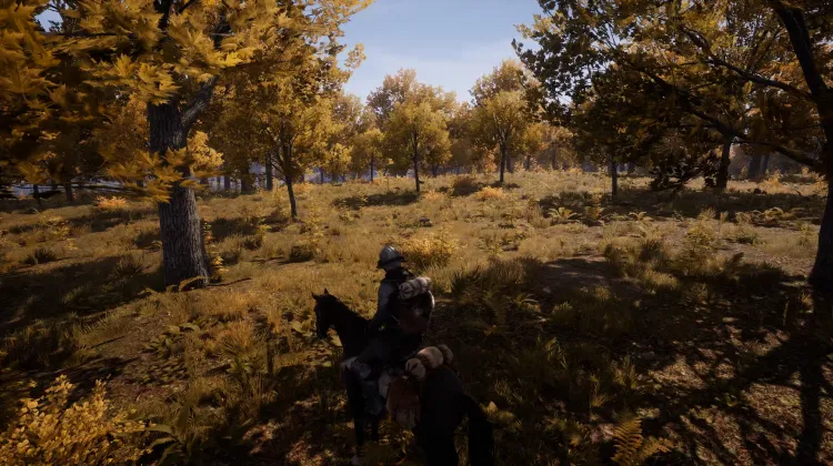 Beyaz Kuyruklu Kartal