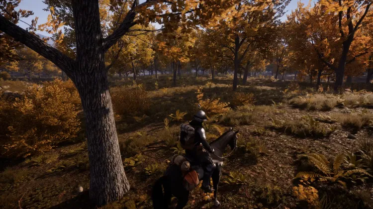 Beyaz Kuyruklu Kartal