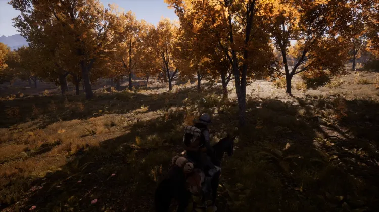 Beyaz Kuyruklu Kartal