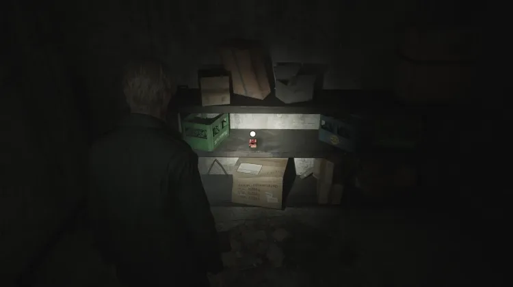 Schrotflinten-Munition