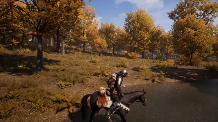 Beyaz Kuyruklu Kartal