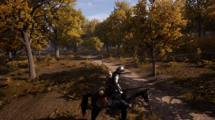 Beyaz Kuyruklu Kartal