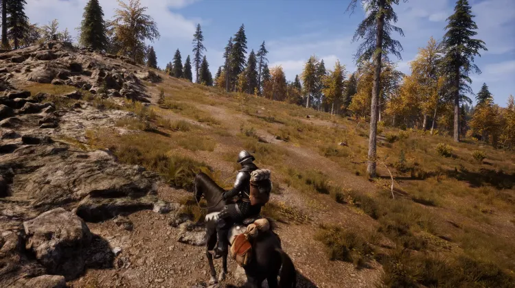 Beyaz Kuyruklu Kartal