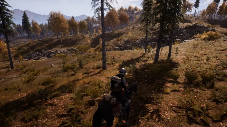 Beyaz Kuyruklu Kartal