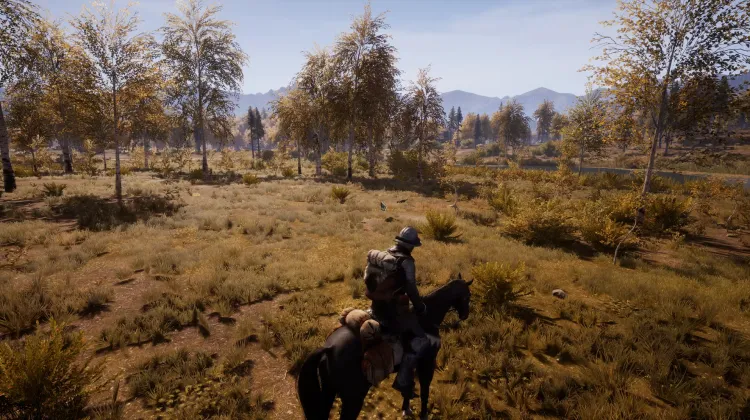 Beyaz Kuyruklu Kartal