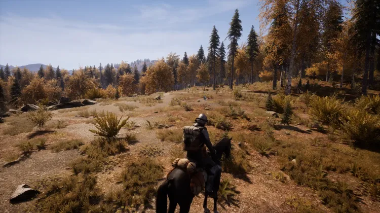 Beyaz Kuyruklu Kartal