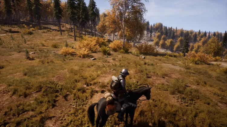 Beyaz Kuyruklu Kartal