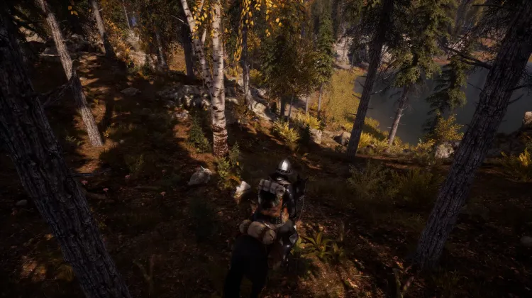 Beyaz Kuyruklu Kartal