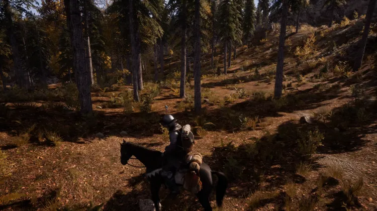 Beyaz Kuyruklu Kartal