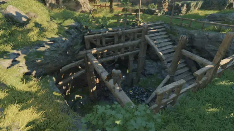 Großes Ammoniten-Fossil