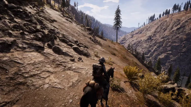 Beyaz Kuyruklu Kartal