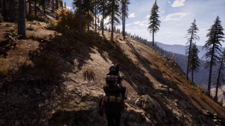 Beyaz Kuyruklu Kartal