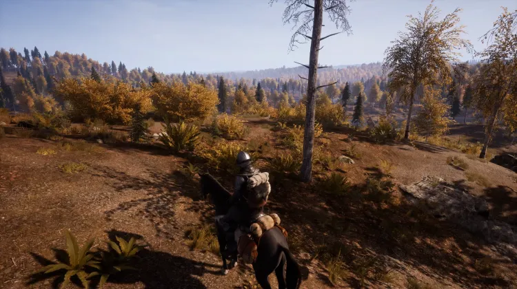 Beyaz Kuyruklu Kartal