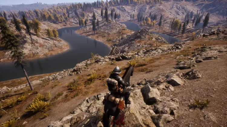 Beyaz Kuyruklu Kartal