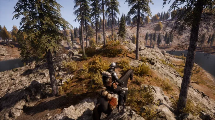 Beyaz Kuyruklu Kartal