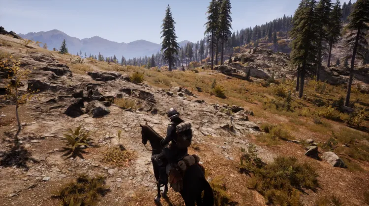 Beyaz Kuyruklu Kartal