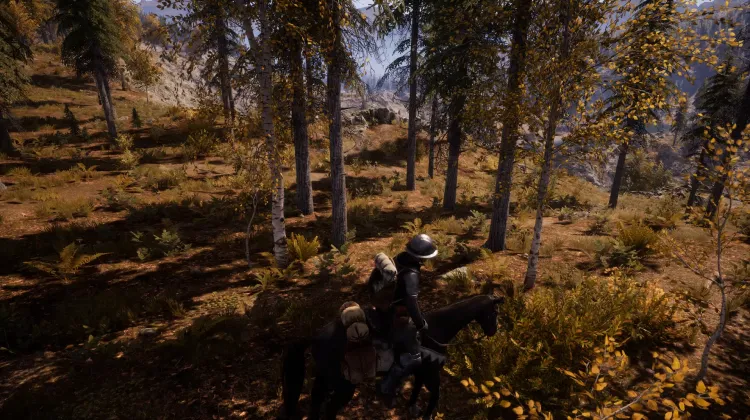 Beyaz Kuyruklu Kartal