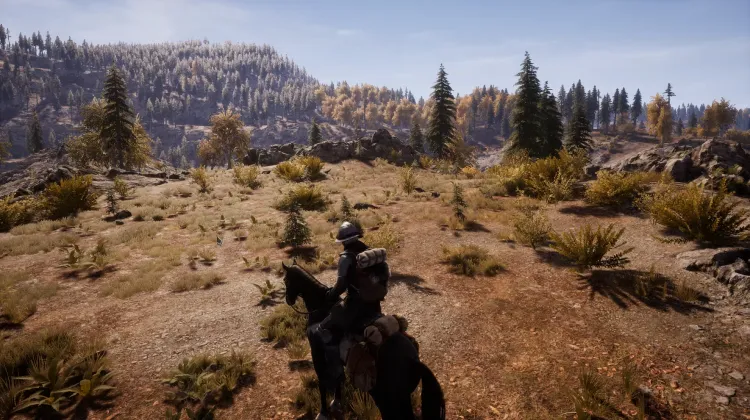 Beyaz Kuyruklu Kartal