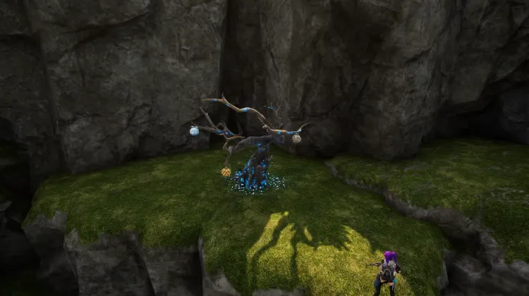 Fertigkeitsfrüchtebaum