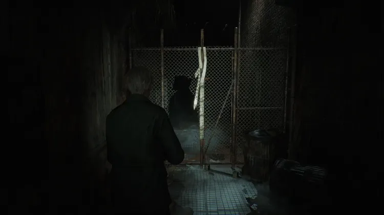 Buco nella Recinzione