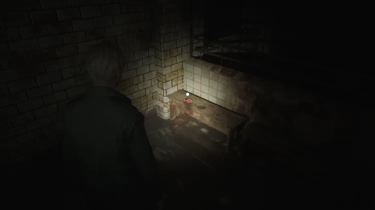 Munición de Escopeta