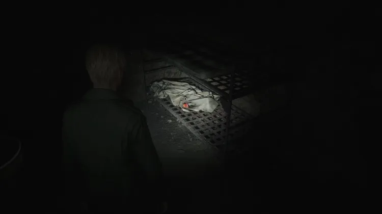 Munitions de Fusil à Pompe