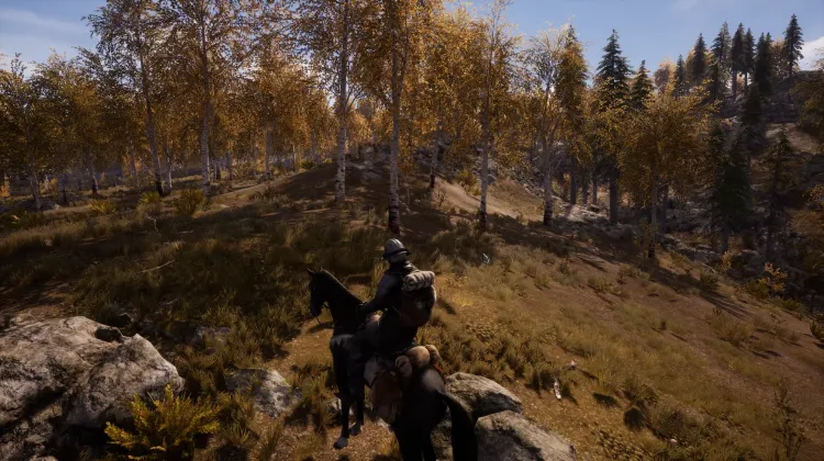 Beyaz Kuyruklu Kartal