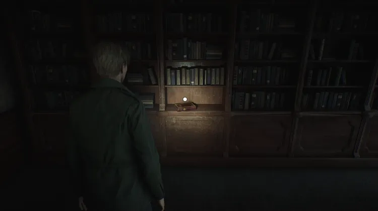 Pride Before the Fall Book