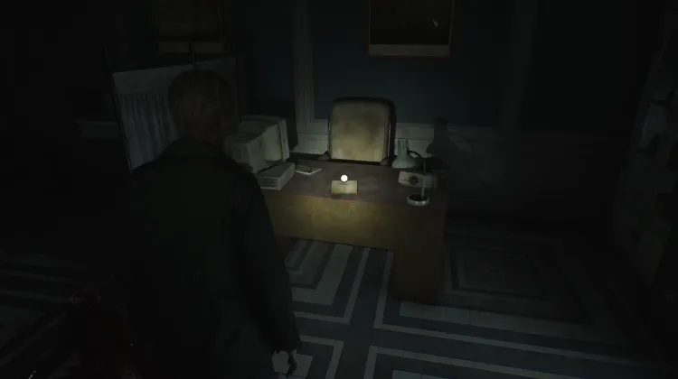 Patient M.S.S. Medical Record