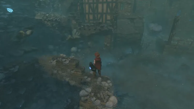 Großes Ammoniten-Fossil