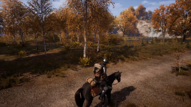 Beyaz Kuyruklu Kartal