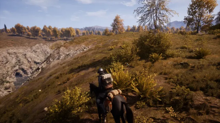 Beyaz Kuyruklu Kartal