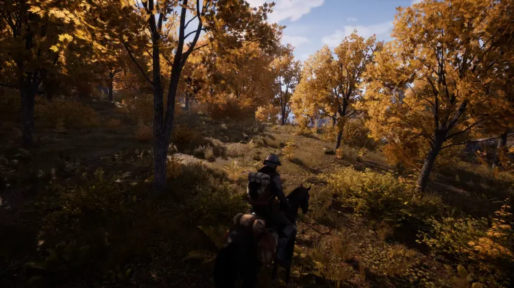 Beyaz Kuyruklu Kartal