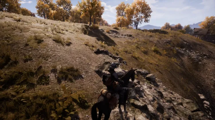 Beyaz Kuyruklu Kartal