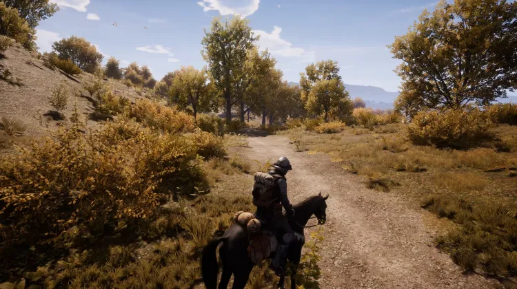 Beyaz Kuyruklu Kartal