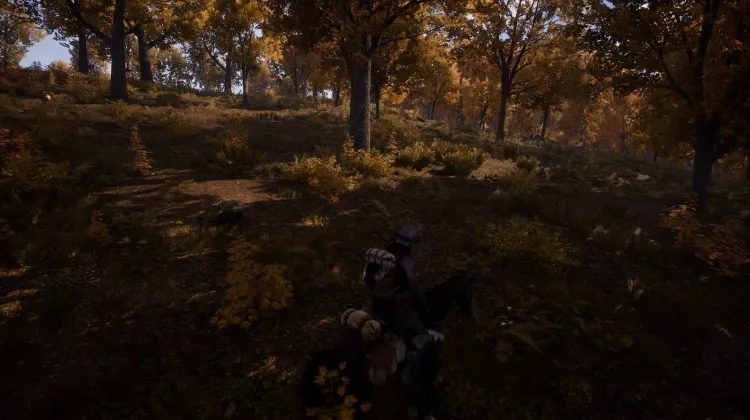 Beyaz Kuyruklu Kartal