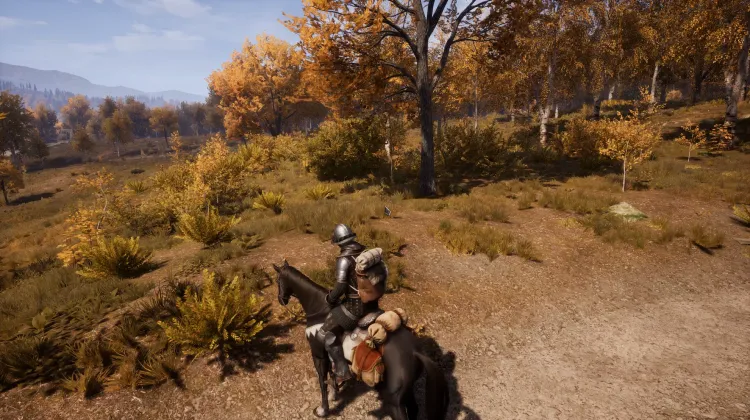 Beyaz Kuyruklu Kartal