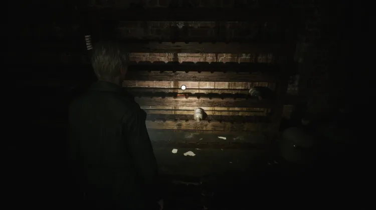 Munizioni per Fucile a Pompa