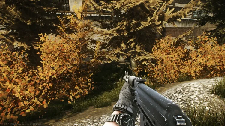 Punto de Aparición (PMC)