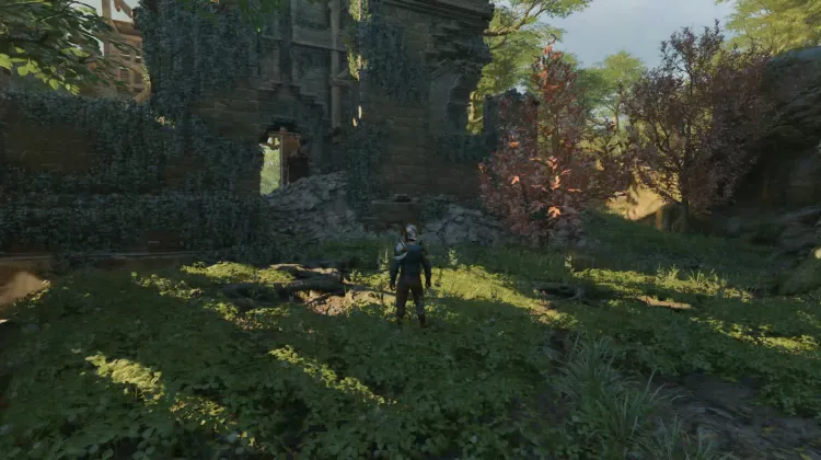 Estou Perdendo o Sono