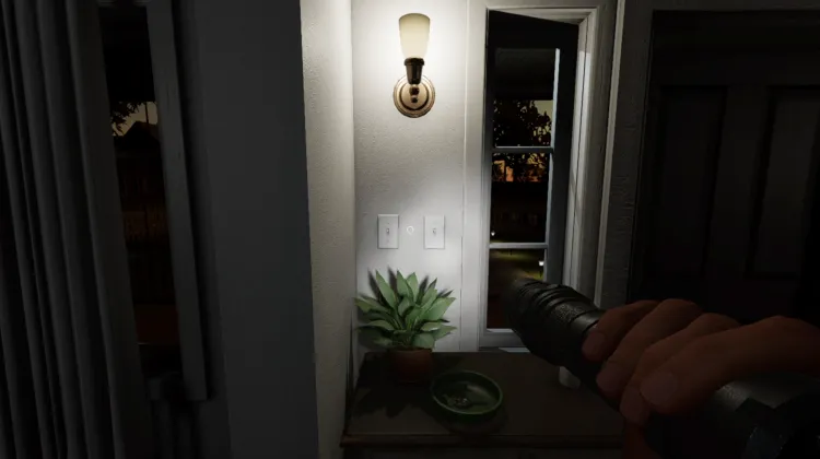 Light Switches