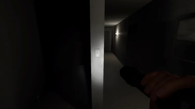Light Switch