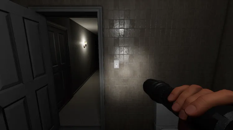 Light Switch