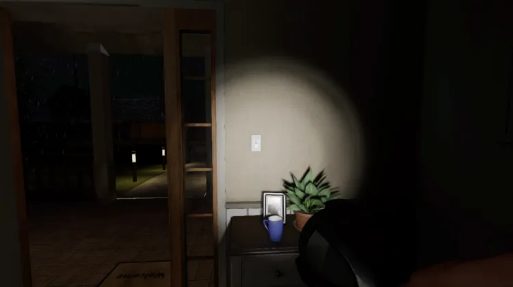 Light Switch