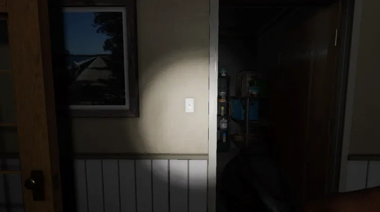 Light Switch