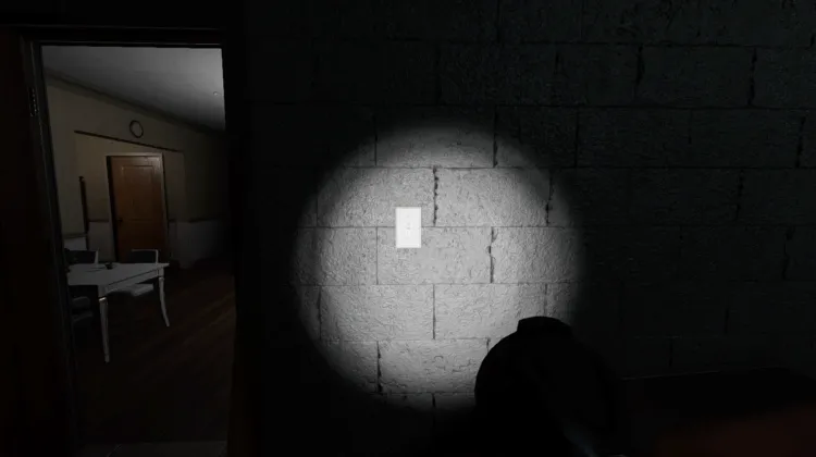 Light Switch